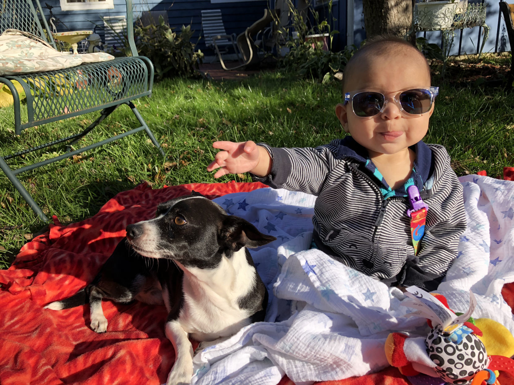 Cynthia Lara: Baby and dog